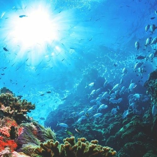 Integral (Values-[Facts])