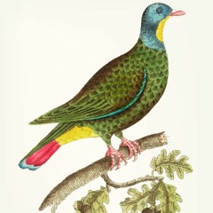 HK_Fantaisies_Sets/Mixes/Live_04