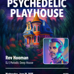 Psychedelic Playhouse - Jonas Bros Bdg Denver, CO by District 216