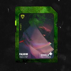 Fialho BR - Take A Trip (Original Mix)