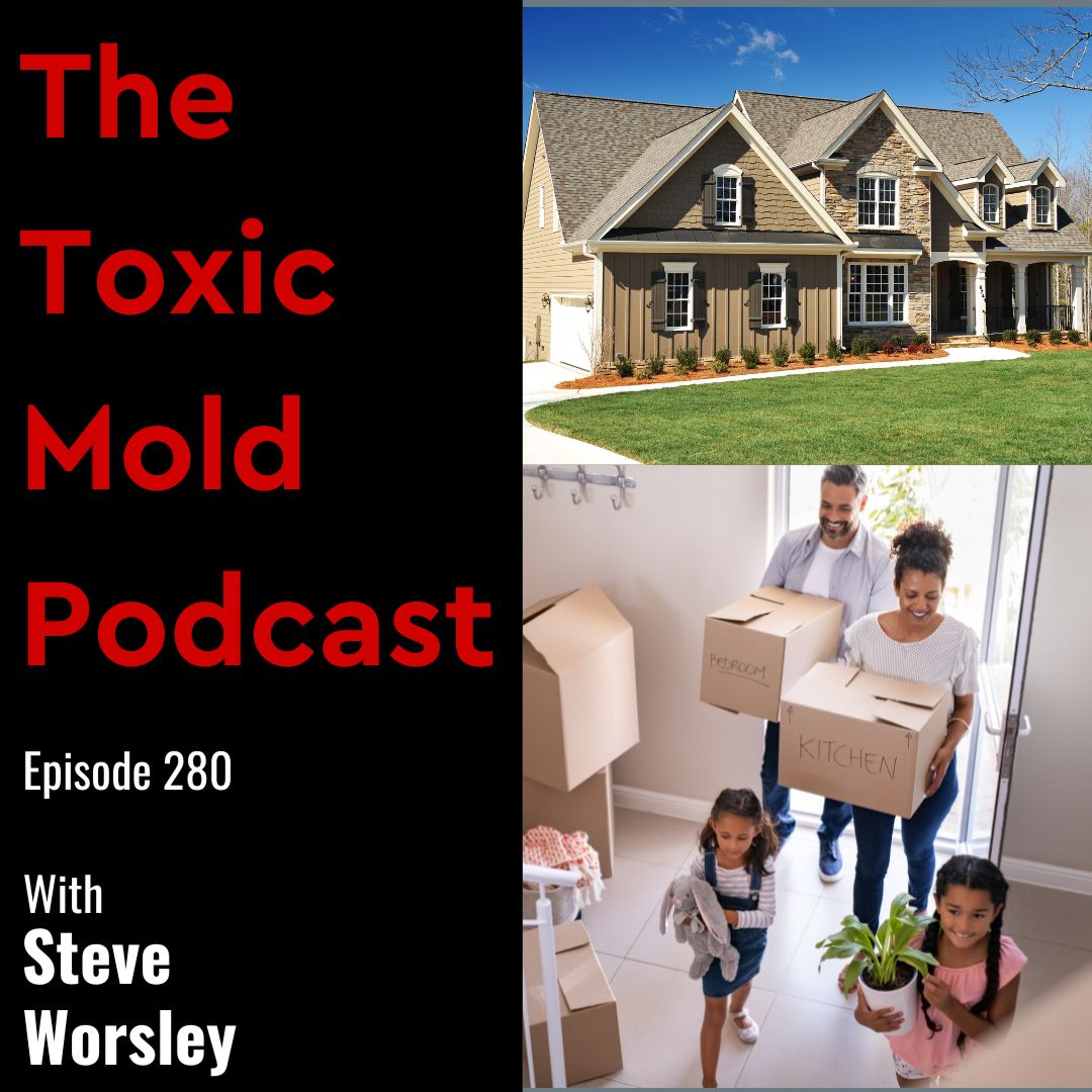 The Toxic Mold Podcast