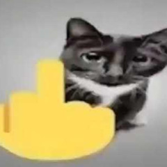 idk what to put here