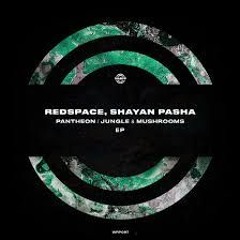 PREMIERE Redspace & Shayan Pasha - Pantheon