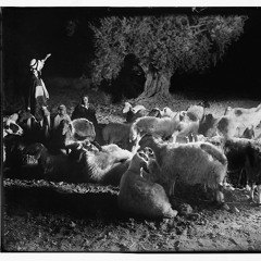 Counting Sheep Ft. DEEMUNBAYBEE