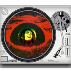 Acidpach face to Bob Marley You wa shock Sun is shinning French Jungle Connection
