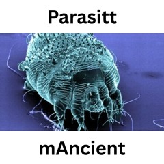 Parasitt (Demo)