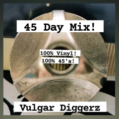 Vulgar Diggerz - 45 Day Mix