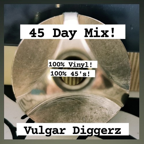 Vulgar Diggerz - 45 Day Mix
