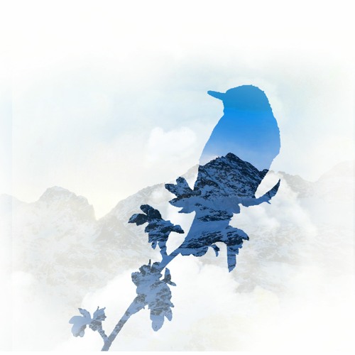 wren (edit)