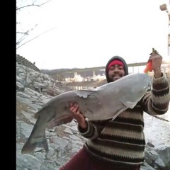 Phatcats Fishing  marcell entertainment