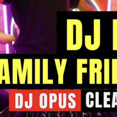 DJ BABY FAMILY FRIENDLY (CLEAN BANDIT) LAGU TIKTOK 2021