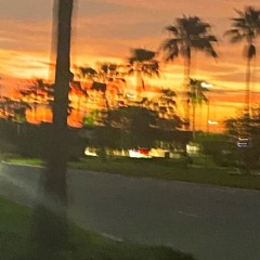 sunset boulevard