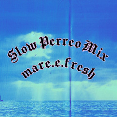 slow perreo mix