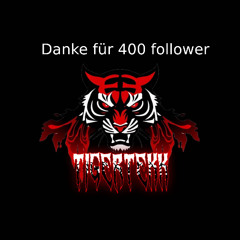 400 Follower Set