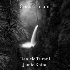 Constitution - Daniele Turani / Jamie Rhind