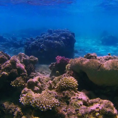 บีดีเอสเอ็ม beautiful music for backgrounds (FREE DOWNLOAD)