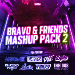 BRAVO & FRIENDS MASHUP PACK 2 (28 TRACKS)