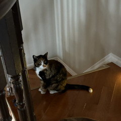 Fluent @yari (temp soundcloud exclusive)