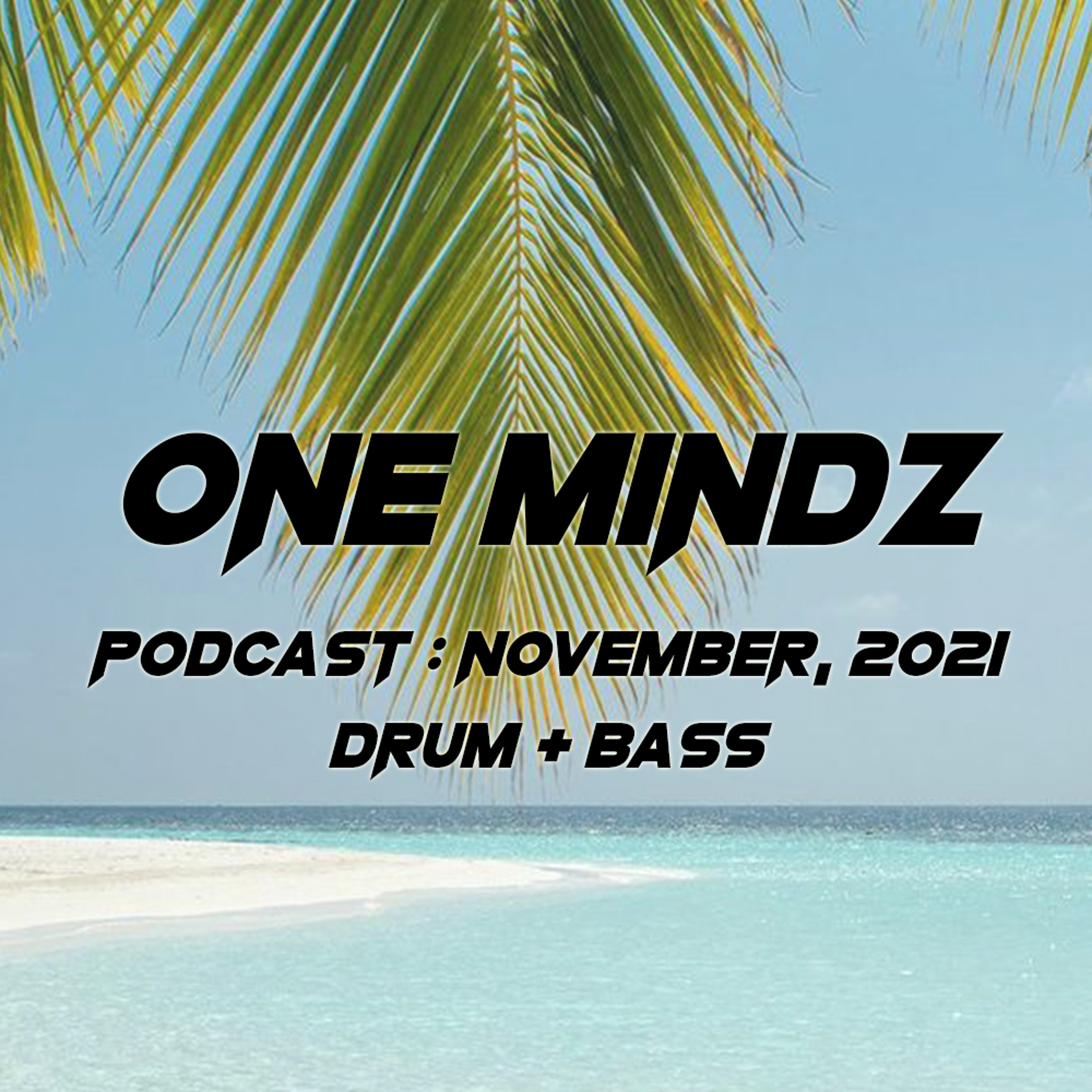 One Mindz Podcast (Drum & Bass)