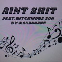 aint shit (by.KanE2SanE).(Feat).(BitchMobs son)