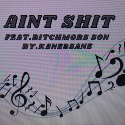 aint shit (by.KanE2SanE).(Feat).(BitchMobs son)