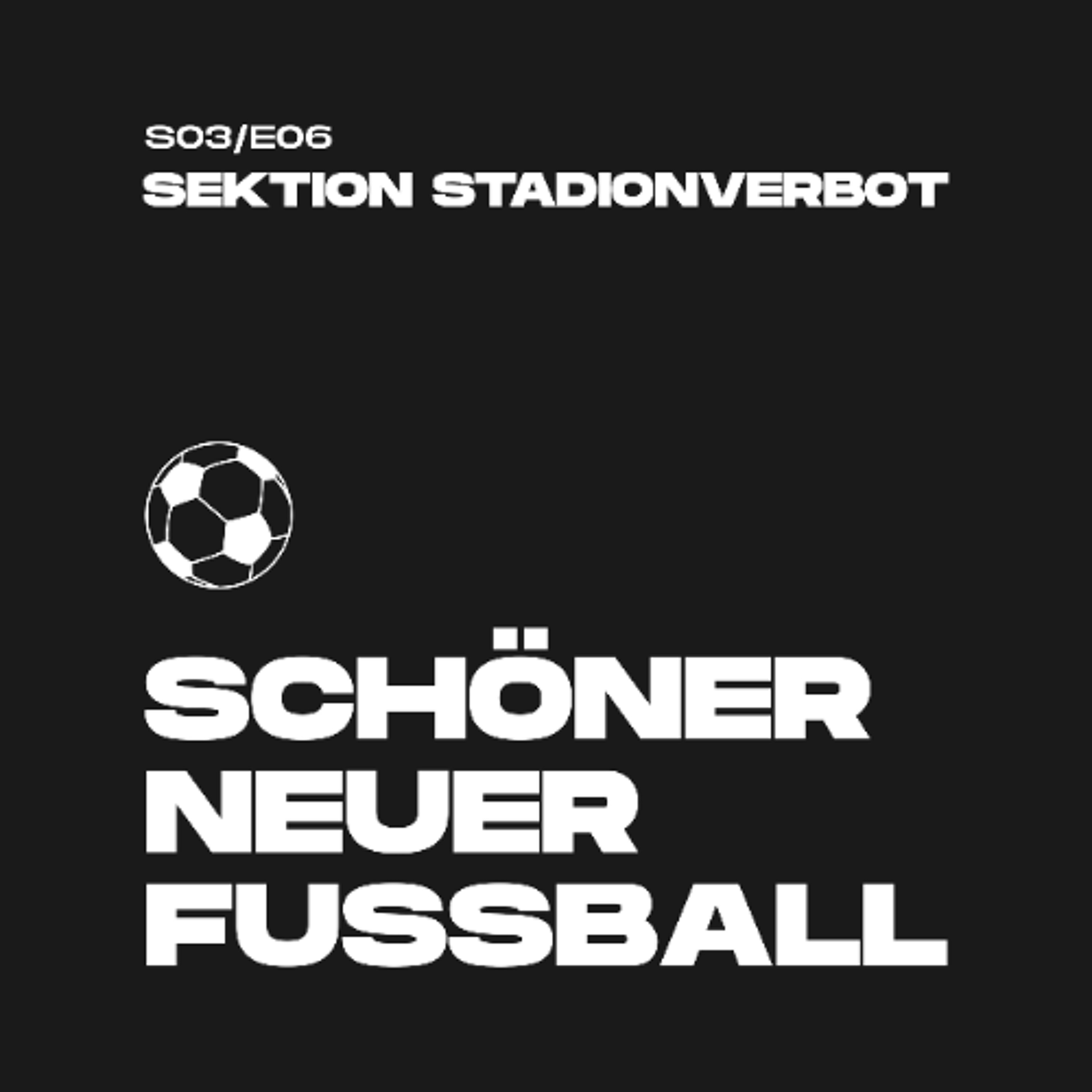 #50 - Sektion Stadionverbot episode artwork