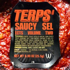 TERPS' SAUCY SELECTS VOL. 2