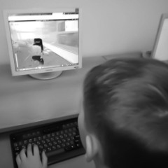 ‎⁨هاي شلون حبنا يهون⁩