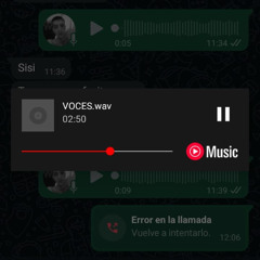 ESCUCHO VOCES