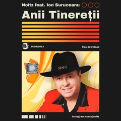 Noitz Feat. Ion Suruceanu - Anii Tineretii (Original Mix)