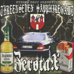 STIGMA SECT - WHAT YO HOOD LIKE (ZEROTAX)