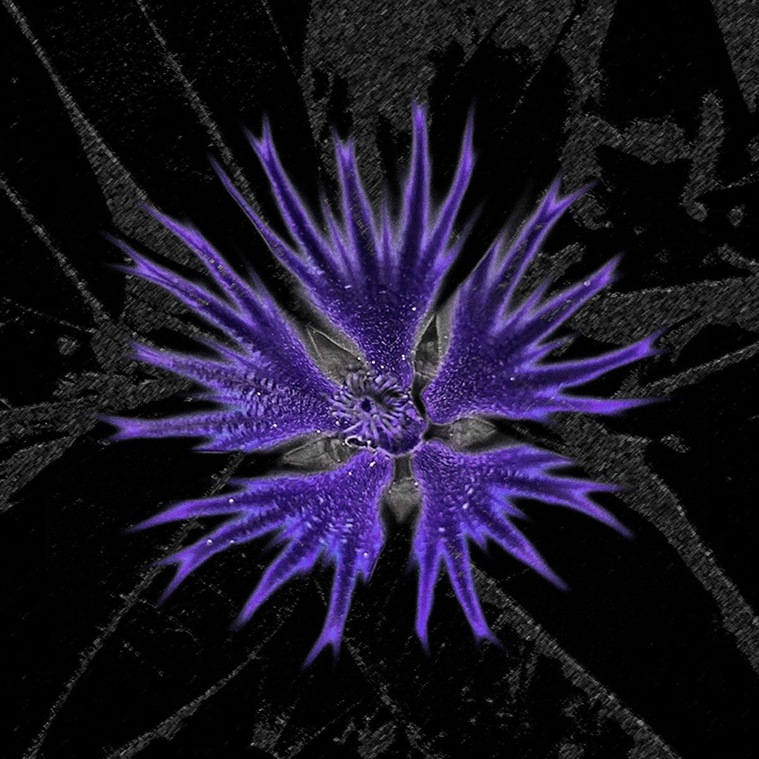 Premiere: Leo Cologna — No Rush, It's Close [NYXII012] episode artwork
