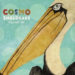 Cosmo Sheldrake - Tardigrade Song
