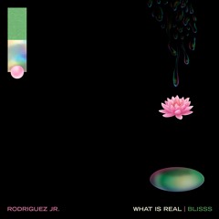 Rodriguez Jr. feat. Liset Alea - What Is Real