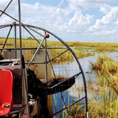 Review Special Price Half-Day Everglades National Park Tour And 1-Hour Air Boat Ride