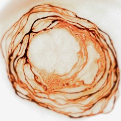 Ambient for Mom (light side)