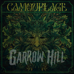 CAMOUFLAGE (RADIO EDIT)