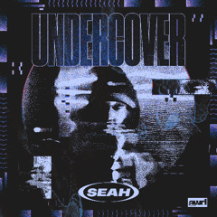 Undercover (Extended Mix)