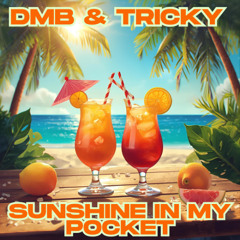 Dmb & Tricky D - Sunshine In My Pocket