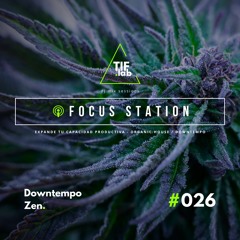 Downtempo Zen #026 - Melodies for the Mind | 🛋️ Deep Focus dj mix session 慢摇