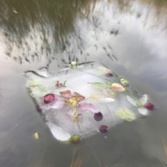 spring tease sneeze