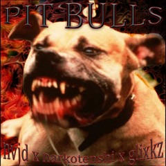 pit bulls + narkotenshi & glixkz (p+ conway)