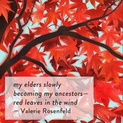 2025-08-26:  Becoming Ancestors (Swann)