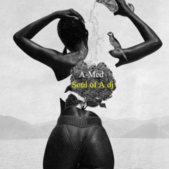 AMED - The Soul of A DJ