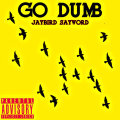 jaybird GO DUMB