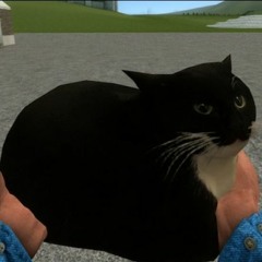 Maxwell the Cat (Mattyck Remix)