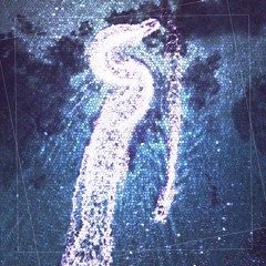 Pascal Junior - She Likes It (Original Mix)