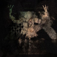 MADNESS ///// (CLIP)