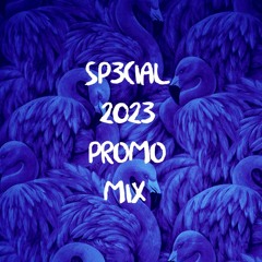 Sp3cial Promo Mix