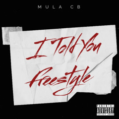 I Told You Freestyle
